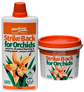 neutrog-strike-back-orchids-both275