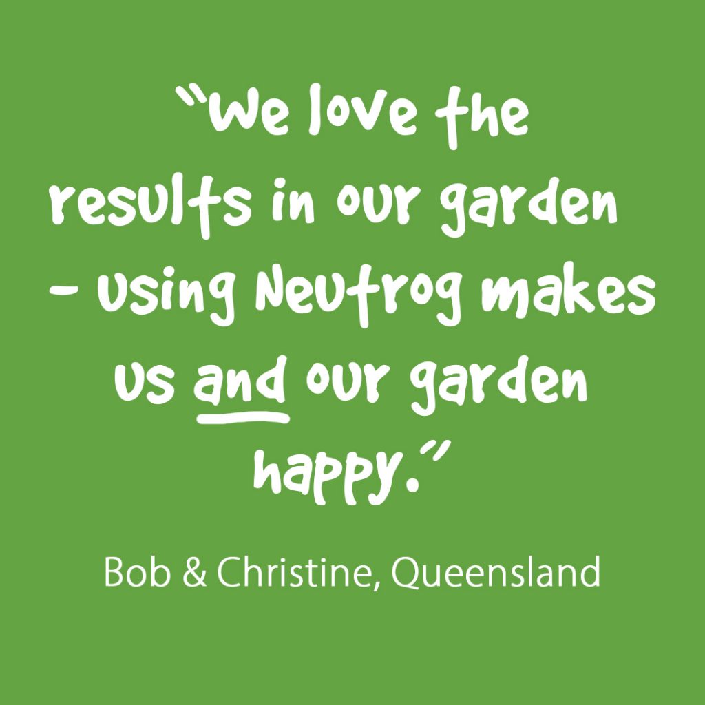 Christine and Bob Brimson are passionate about their garden in Manly West, Queensland.

Bob describes Christine as the green thumb and at Neutrog, we hear that a lot. One partner describes the other in that way; but at Neutrog, we know it’s team work. Someone dreams and plans and someone brings those ideas to life.

Christine is an ardent follower of Graham Ross, listening to him every weekend, taking on board his advice and also travelling on Graham Ross Garden Tours with either Graham or his crew. Last year they visited the Chelsea Flower Show and also visited some wonderful gardens around the south of England including Prince Charles garden at Cornwall. Christine also enjoyed a visit with Graham early this year, to India.