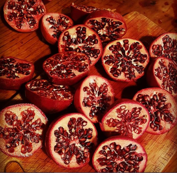 Pomegranates are such hardy plants.  The foliage is a gorgeous glossy green, flowers are a brilliant vermillion and during late autumn, the globes of crimson fruit hang beautifully on the tree.
